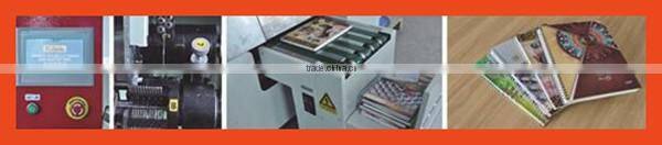 Steel binding wire drawing machine/steel wire rope machine/copper wire drawing machine