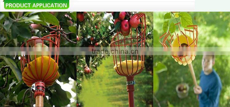 Colorful Long handle Telescoping iron and aluminum garden tool grange fruit picker