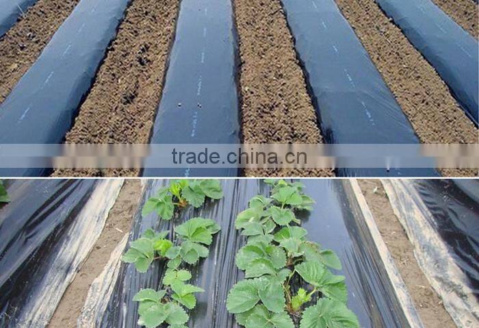 agriculture usage perfoared mulch film with holes