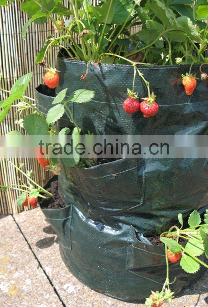 Popular PE Strawberry Planter Bag,Grow Bag