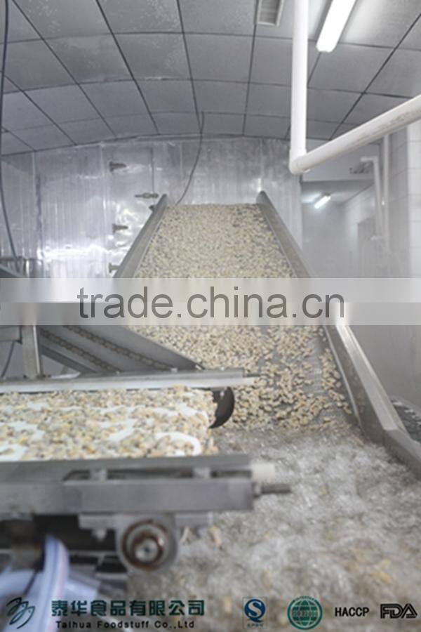Seafood Importer Clam Meat Shellfish Seafood Frozen