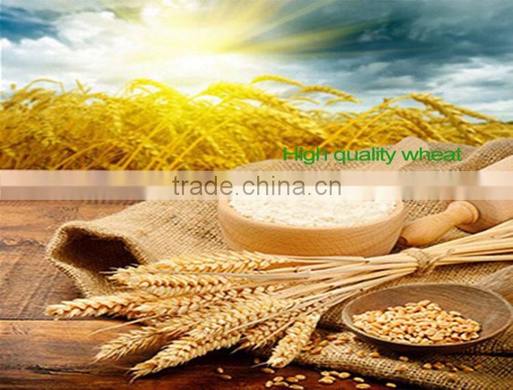 Chinese Wholesaler Health Noodles Kemen Soba Favor Noodle,noodles