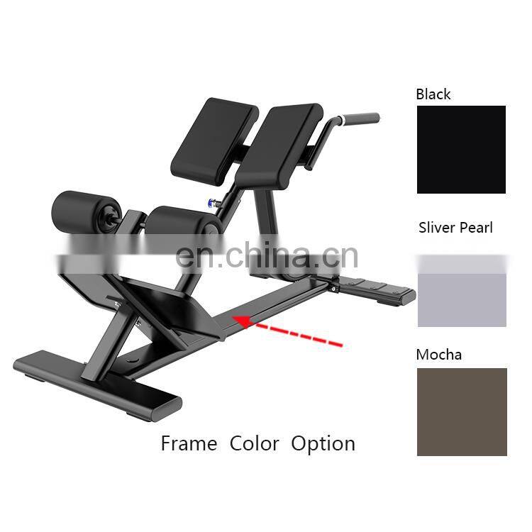 Dhz Fitness Commercial Use Back Extension Bench Machine