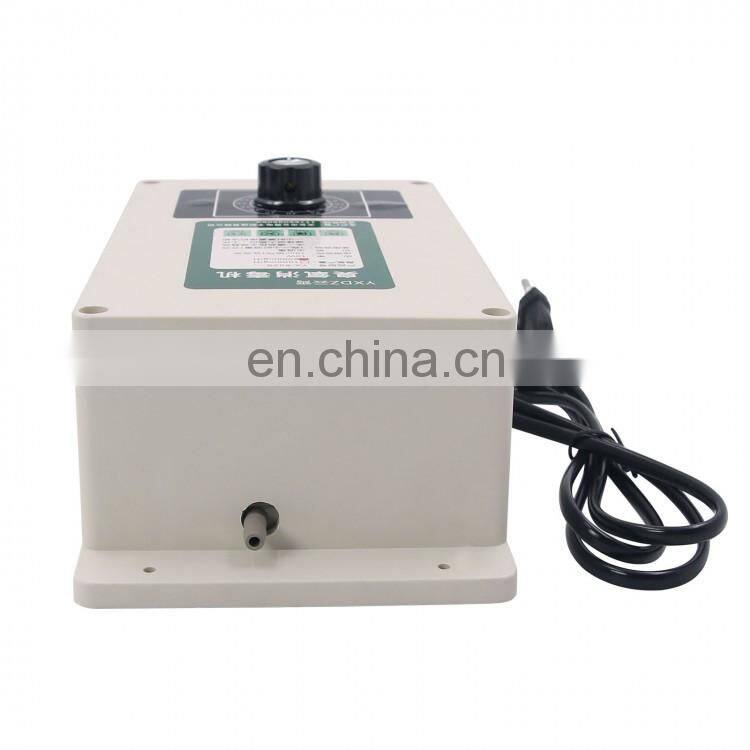 110V 220V 2000mg/h Ozone Generator Water Purifier Water Ozonizer w/ Timer For Fish Tank Fruit Vegetable