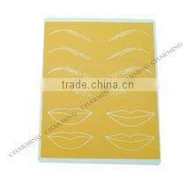 Factory price permanent makeup tattoo accessories practice skin lips