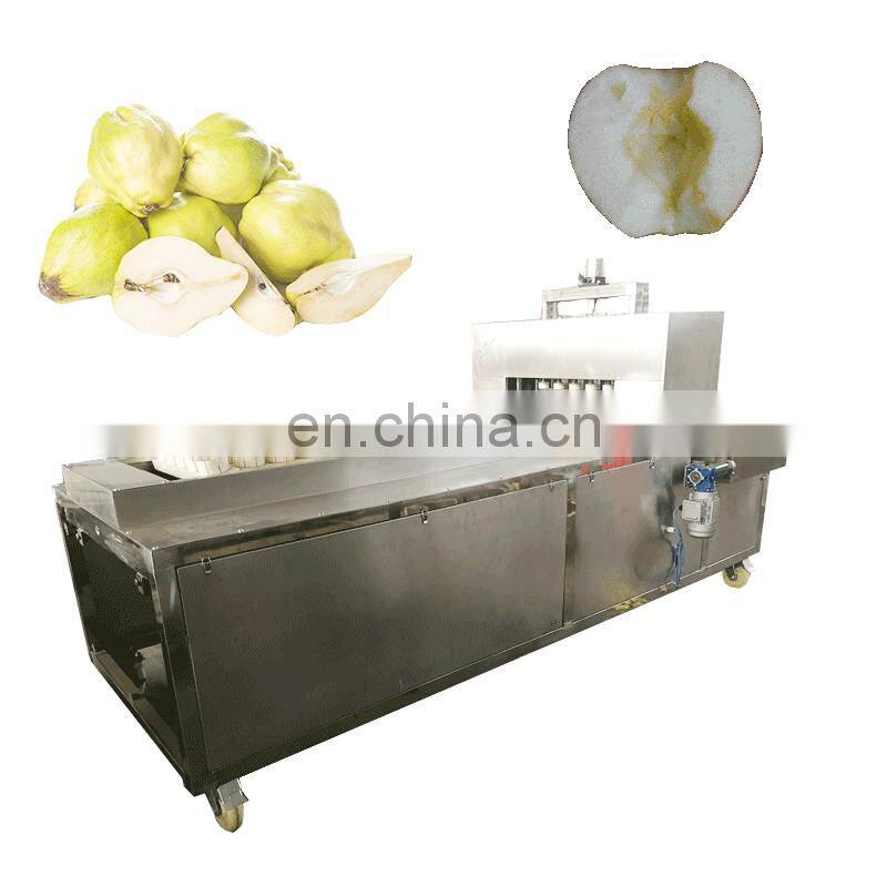 Runxiang Apple Jujube Peach Apricot Quince Oli Corer