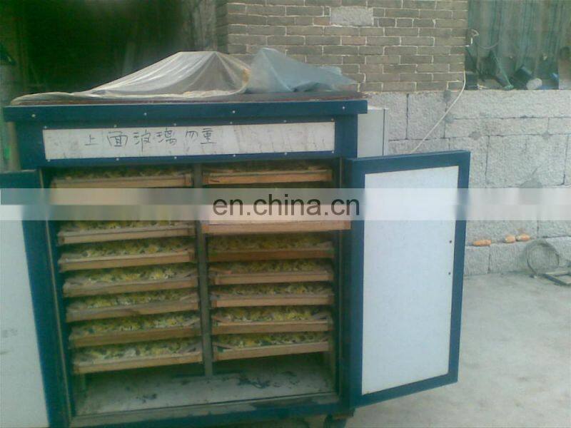 Grain product making machine Hot sale noodle, vegetable, herb tea flower fish machine solar drying machine / solar dryer