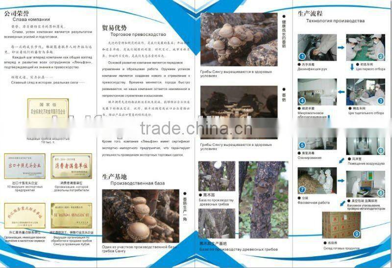 Shiitake Mushroom , Xianggu Mushroom , Maitake Mushroom