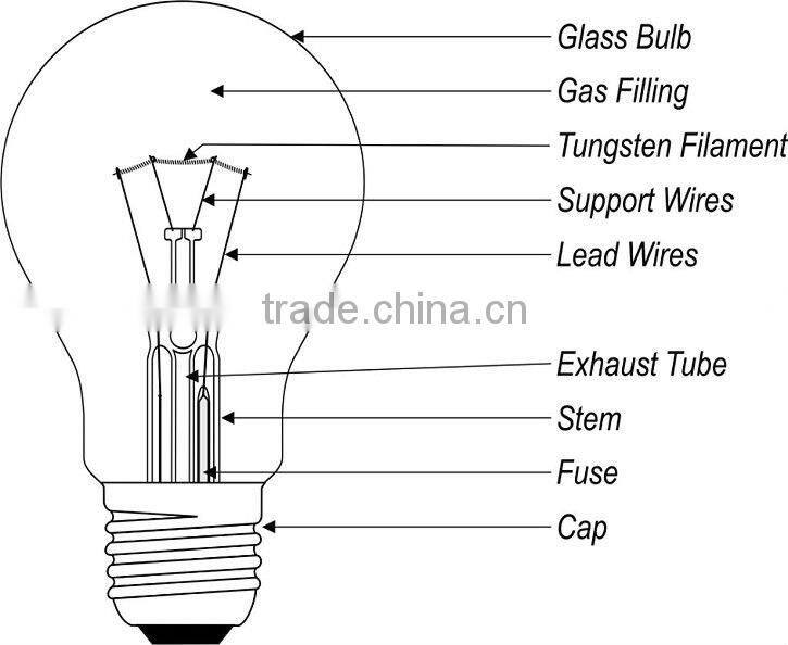 Standard incandescent bulb A19