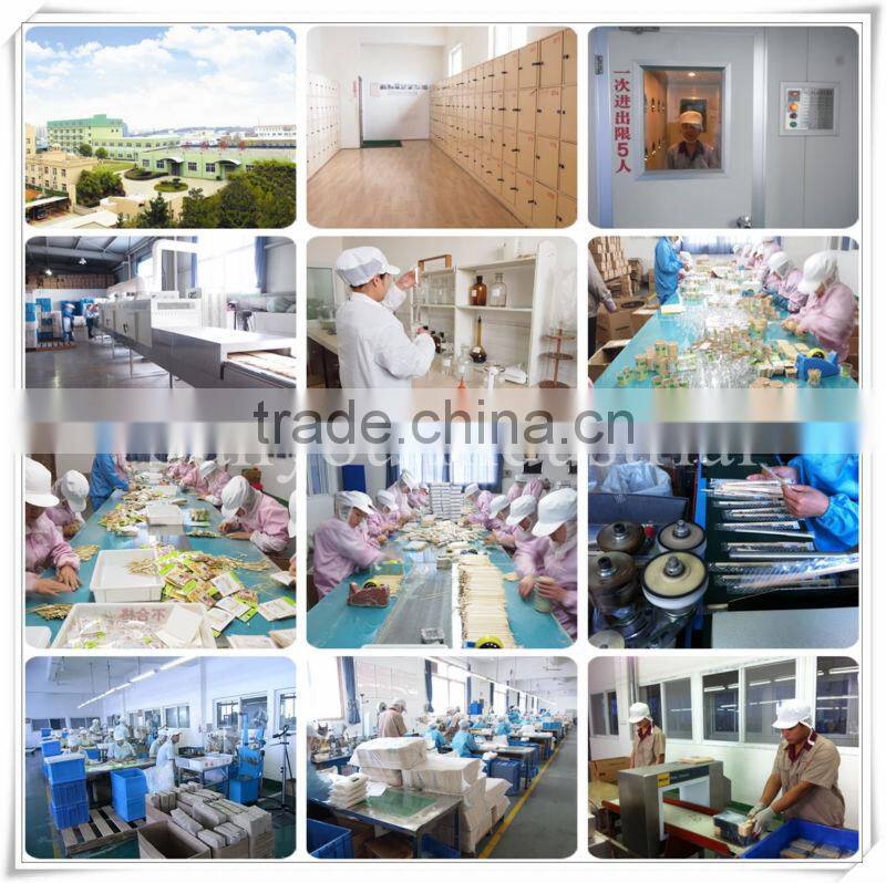 High quality toothicks container with logo OEM in China