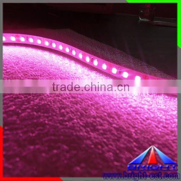 SMD2835 LED Pink Color Strip Light,Flexible LED Strip Pink