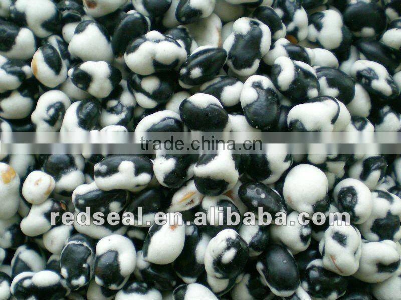 delicious wasabi flavor coated peanuts