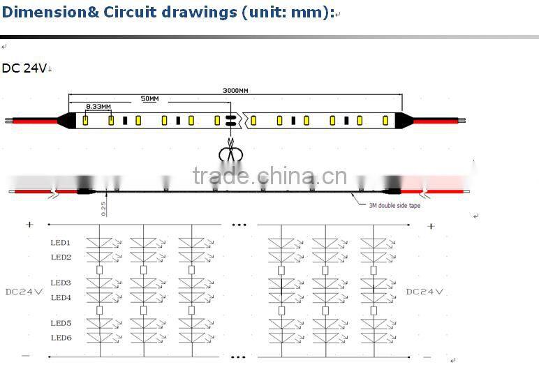 Decoration Light SMD 2216 LED Strip Light waterproof 50M/roll