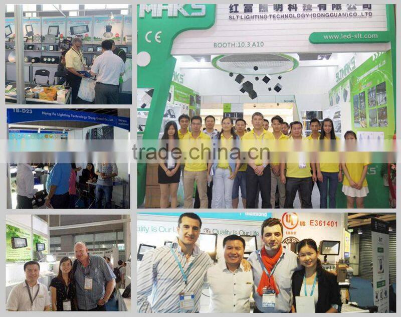 Remote Control 30W RGB LED Flood Light for IP65 Outdoor Useing