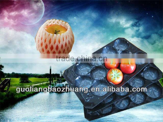 Environmental Dried Fruit Tray