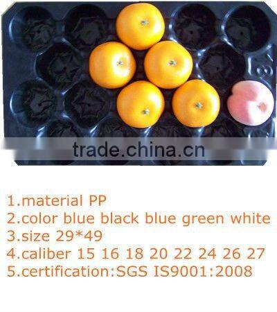 foam mesh for fruit