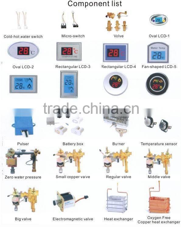 Balanced exhaust gas water heater with double pipe