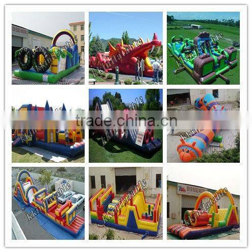 Promotion Advertising inflatable toy animal
