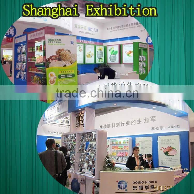 China 100% natural pineapple extract bromelain plant extract bromelain 9001-00-7