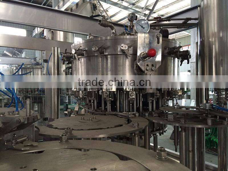 Automatic Plastic Bottle Carbonated Drink Filling Machine/Complete Line