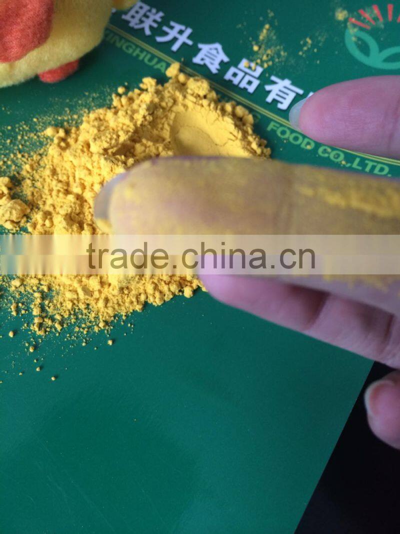 Dehydrated Pumpkin Powder