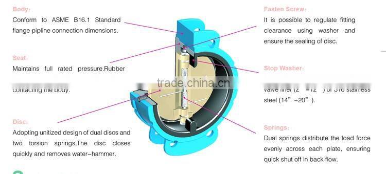TWS DN200 a216 wcb butterfly Check Valve