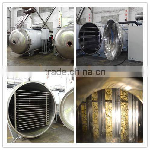LTDG-Series Production Freeze Drying Machine