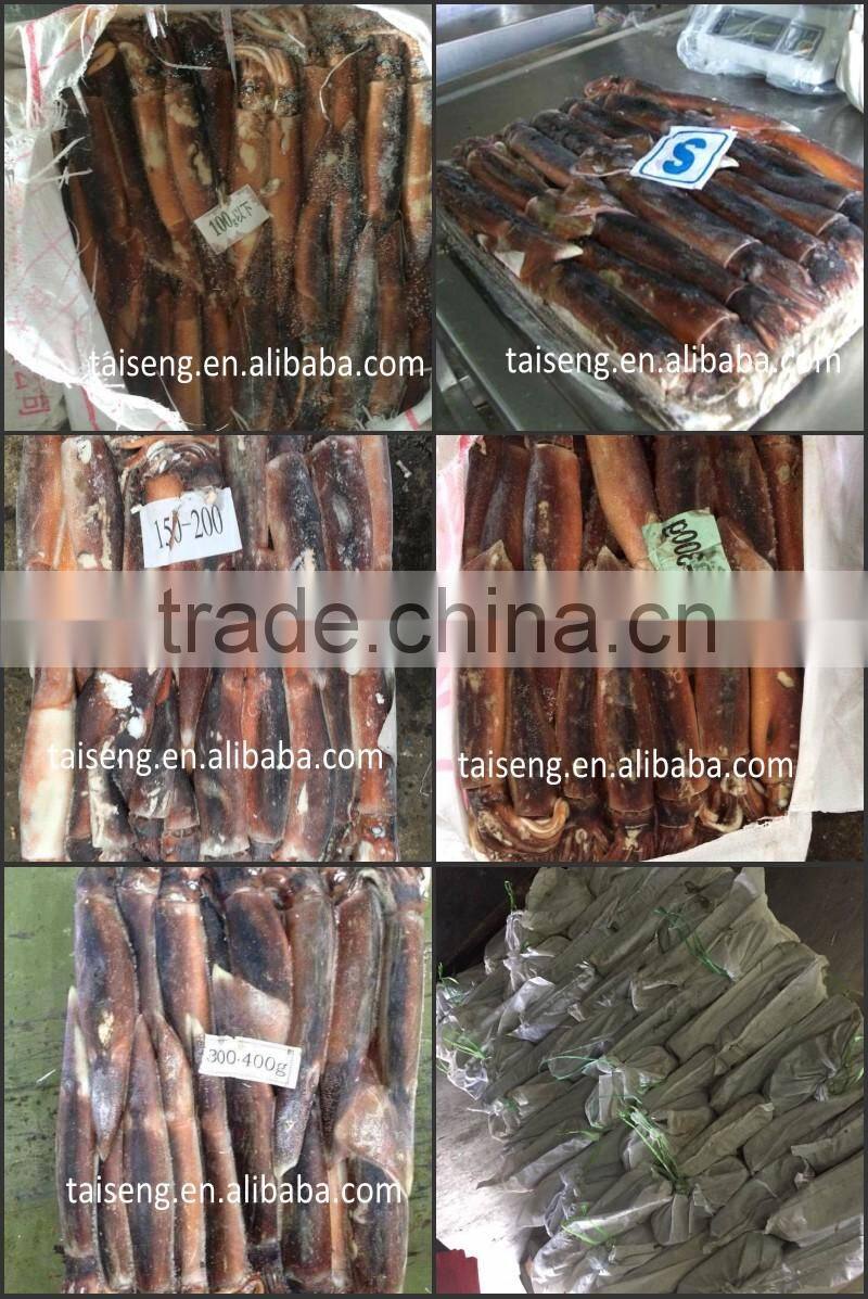 Frozen High Quality Illex Argentina Squid 100-150g