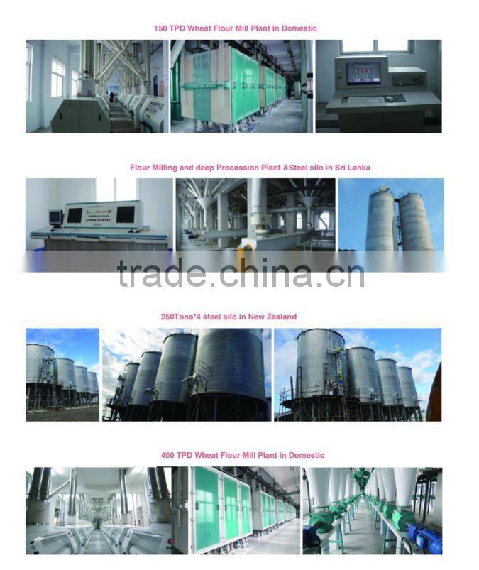 500 ton per day turn flour mill production line