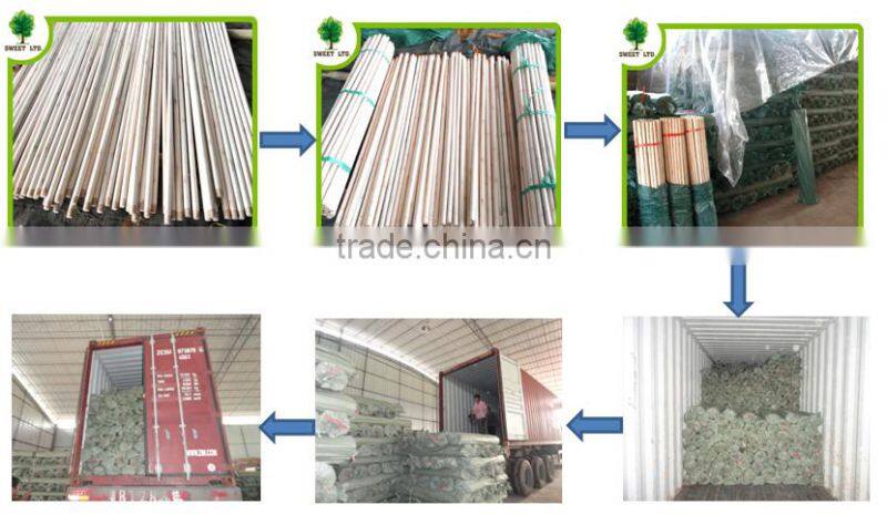 Varnished mop handle / wood broom stick / straight wooden broom and mop stick