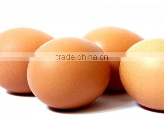 BROWN CHICKEN EGGS