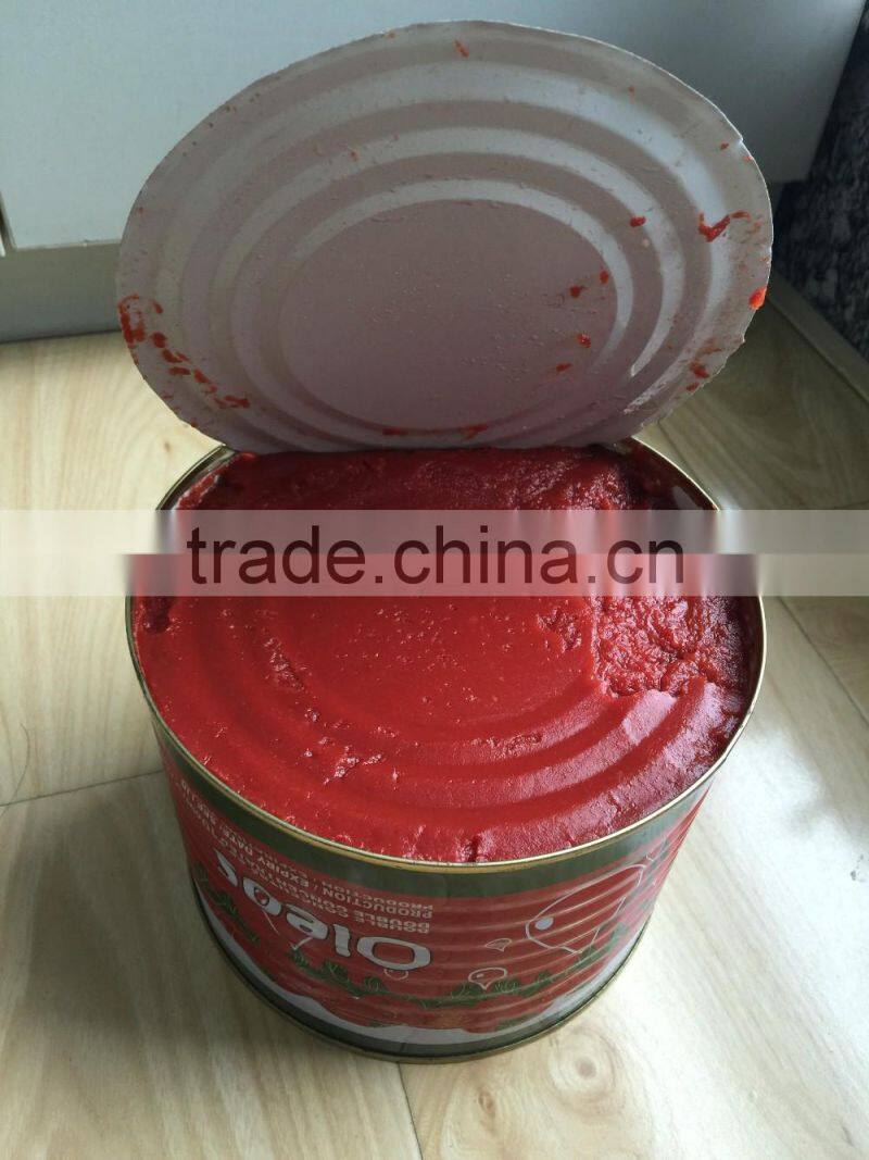 oem brand canned tin packing tomato fresh ketchup tomato paste sauce