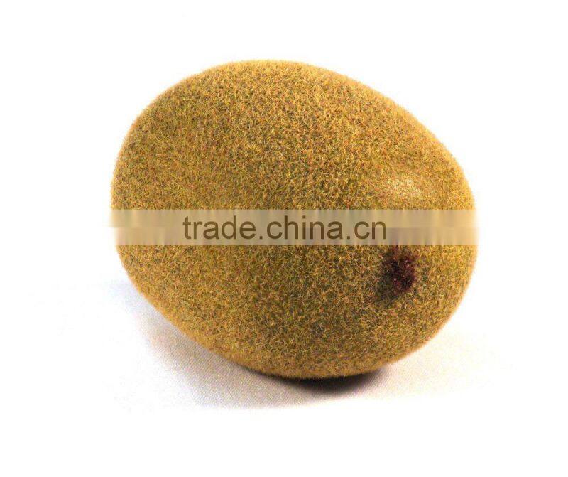 Plastic simulation model of false tomatoes props / teaching appliance accessories