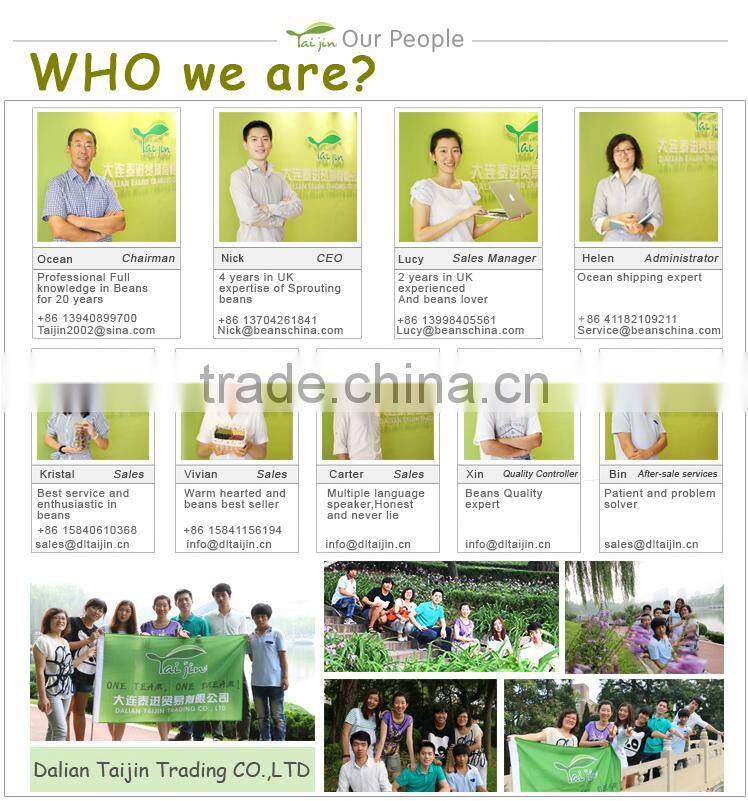 High Quality Green Mung Beans Foul Medames