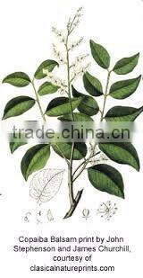 White Sesame Oil 100 % Pure