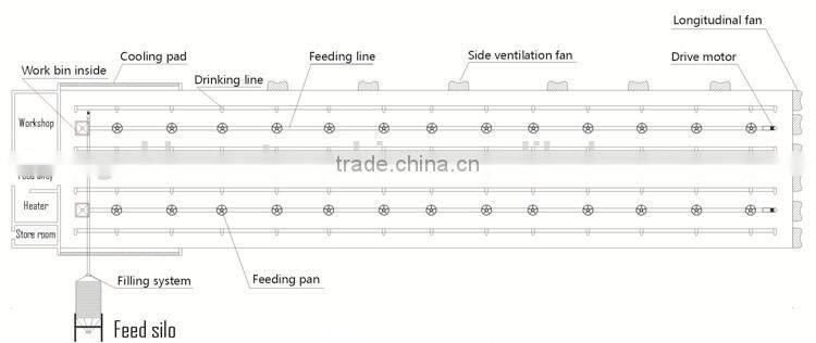 plastic chicken feeders