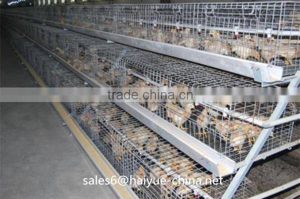 Taiyu design day old chicks cage for sale