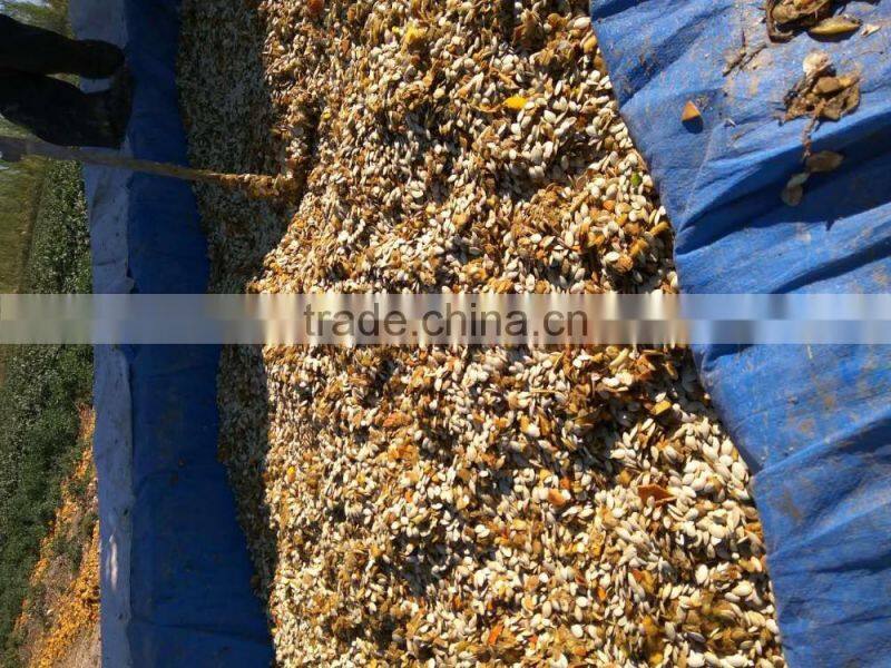 good performance high efficiency watermelon pumpkin seeds separating machine