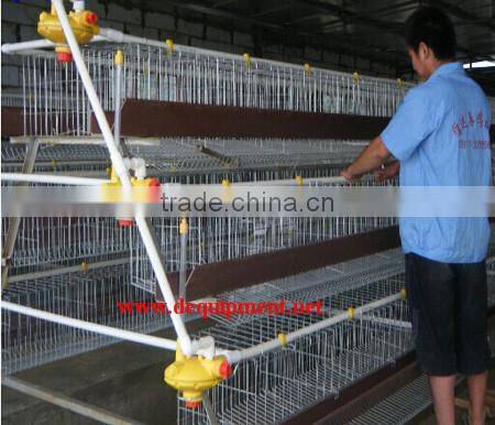 Automatic manure removal A type supplier poultry equipment