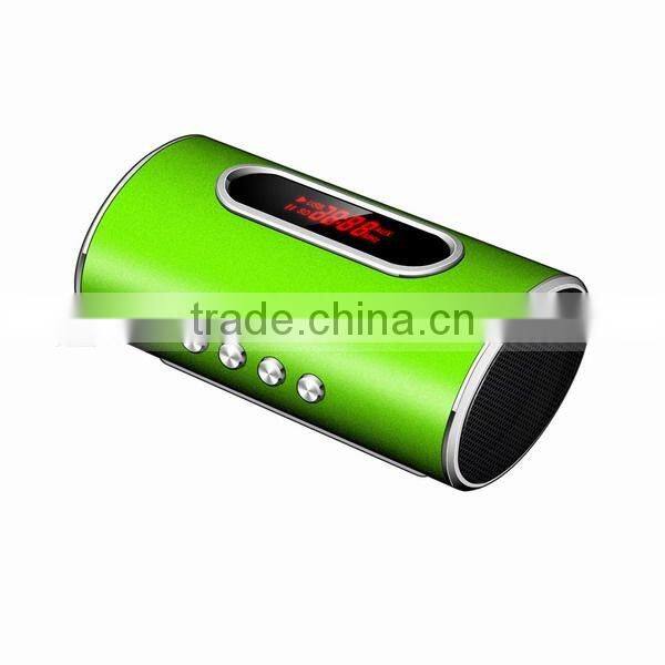 Portable mini speaker