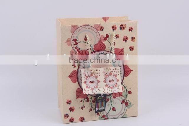 Foldable Printed Gift Bag / Paper Shopping Bag
