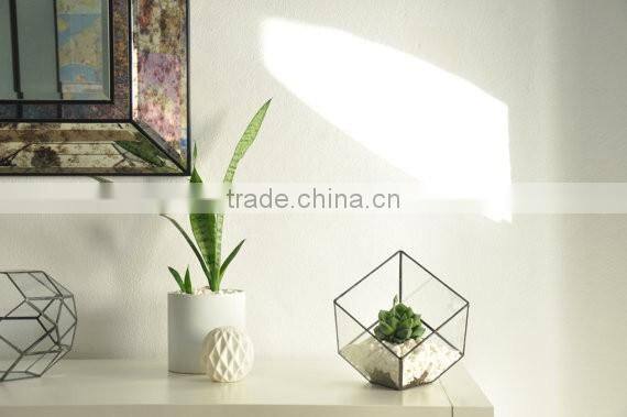 Indoor Gardening Geometric Glass Terrarium Container Succulent Planter