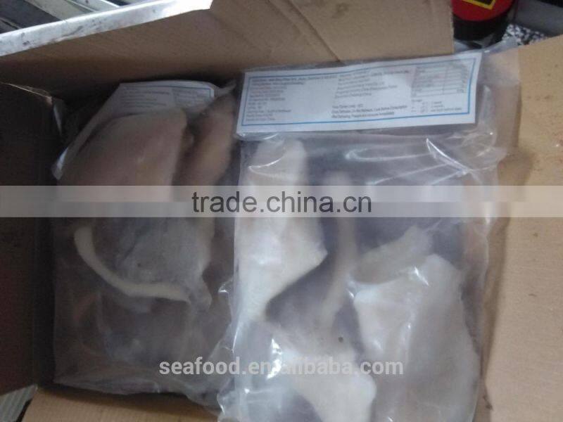 Frozen John Dory fillet 60-100g/100-150g/pc tuna fish processors