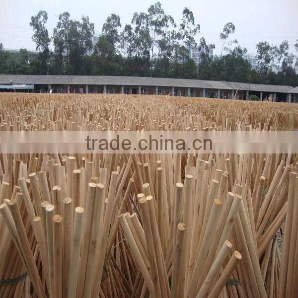 Household broom with handle--green and blue pvc coat handle