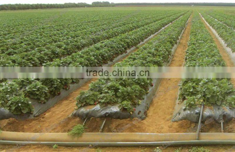 drip tape , drip irrigation tape inter inlay , drip irrigation belt with continous sheet dripper