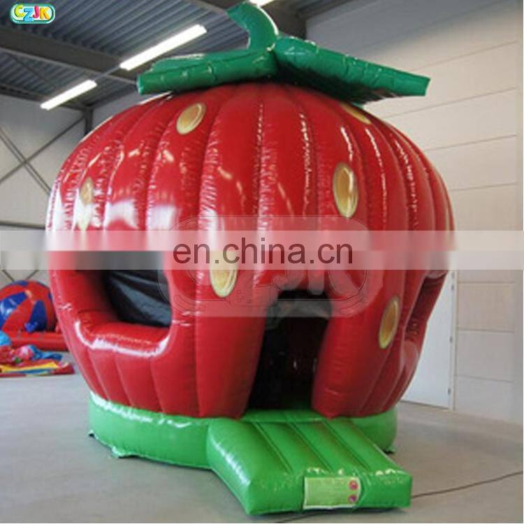 strawberry inflatable jumper bouncer  bounce house jumping bouncy castle