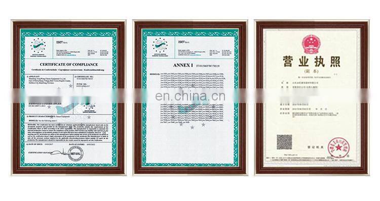 Commercial gym 45 Degree Leg Press