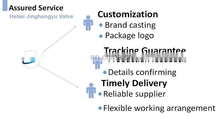 4 inch Cast Iron Flange Din Standard Y Type Strainer