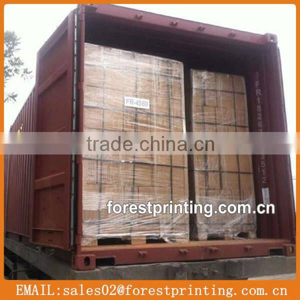 Printed Admit One Ticket,Single Roll Raffle Ticket