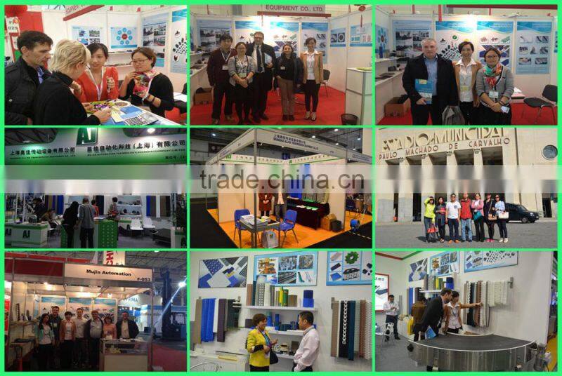 Plastic sprocket wheel in meat process/chain sprocket